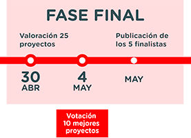 Fases del Concurso 4