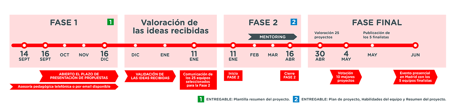 Fases del Concurso